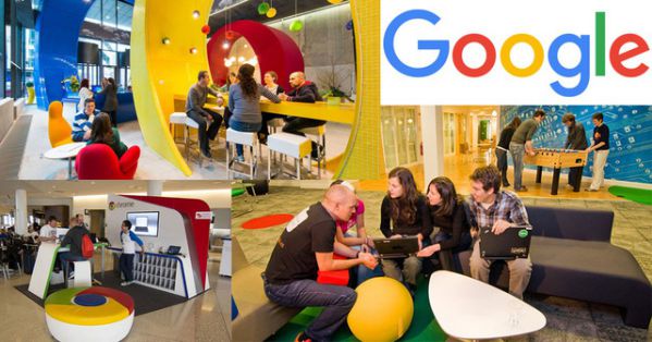 Điều gì khiến văn hóa doanh nghiệp của Google trở nên độc đáo  Bản Tin  Tây Ninh